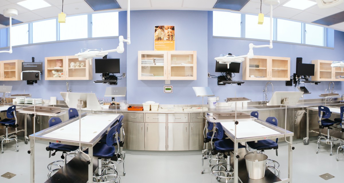 Anatomy lab