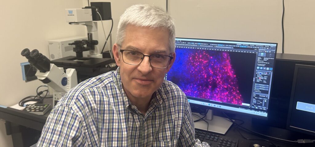 Dr. Craig Story analyzes fluorescent images of tumors in his office.